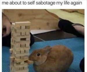 my life again