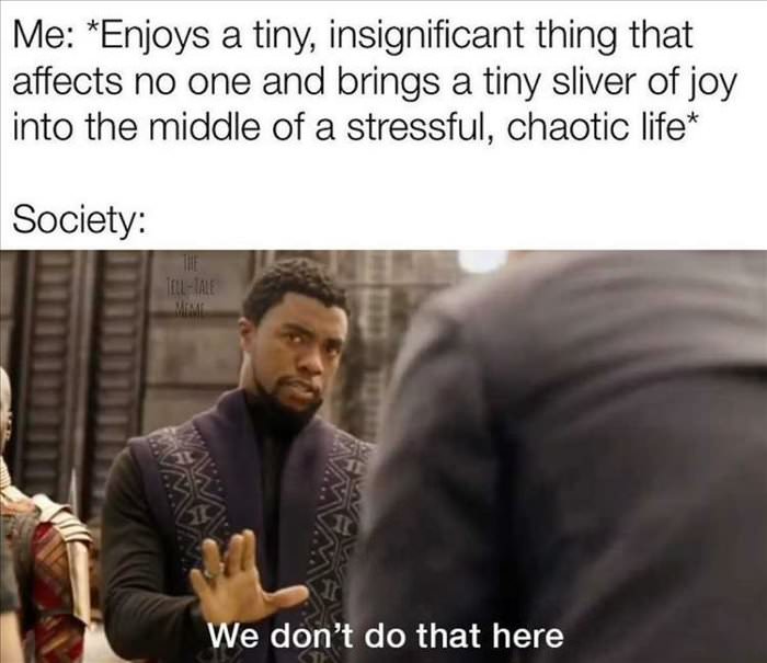 my little thing i enjoy