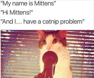 my name is mittens