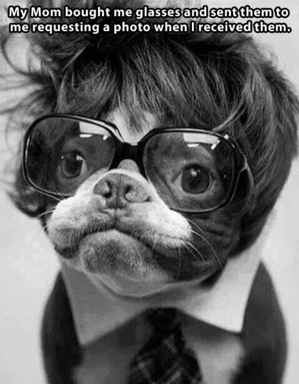My New Glasses funny picture