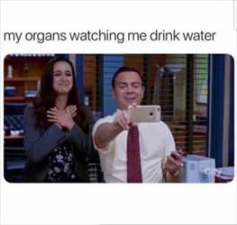 my organs are so proud