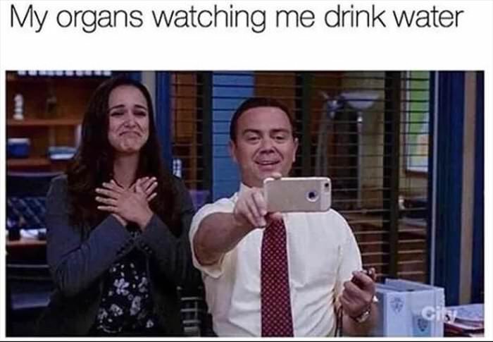 my organs watching me drink water