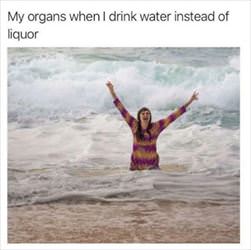 my organs when i drink water
