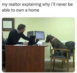 my realtor