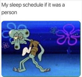 my sleep schedule