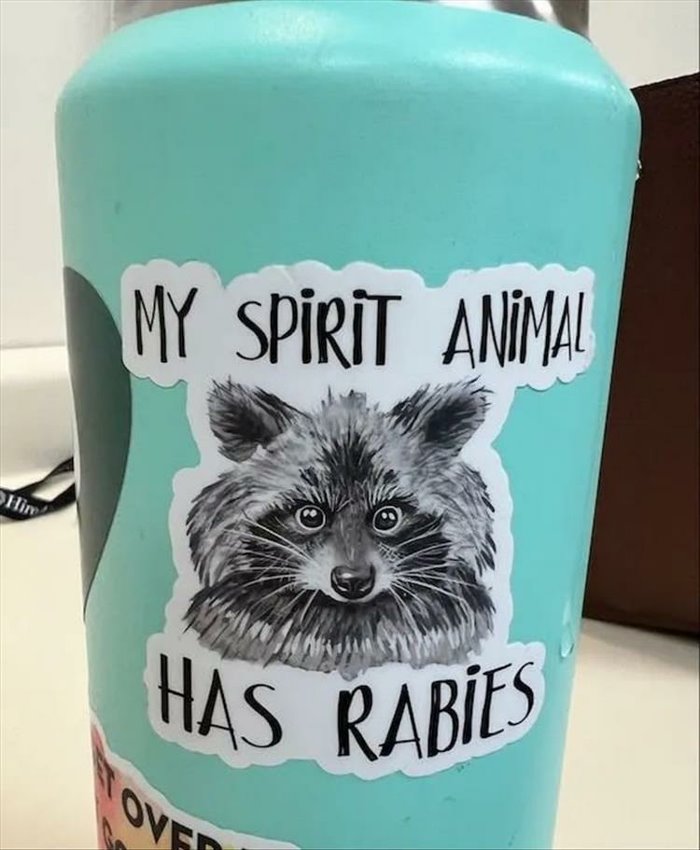 my spirit animal ... 2