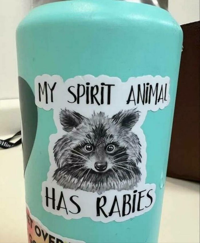 my spirit animal ... 2