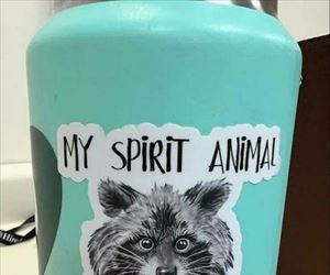 my spirit animal ... 2