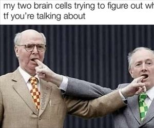 my two brain cells