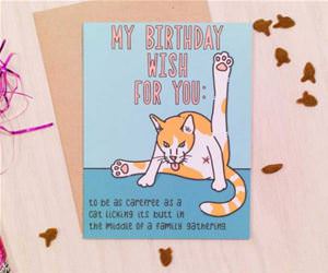 my birthday wish for you funny picture