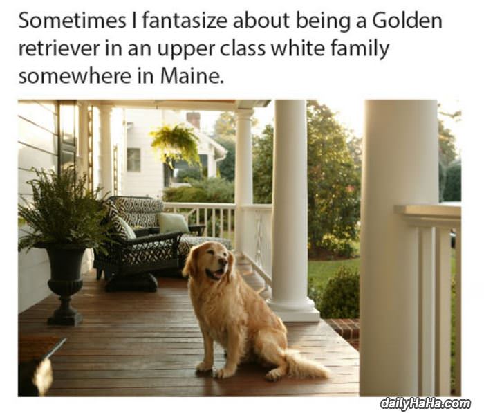 my fantasy funny picture