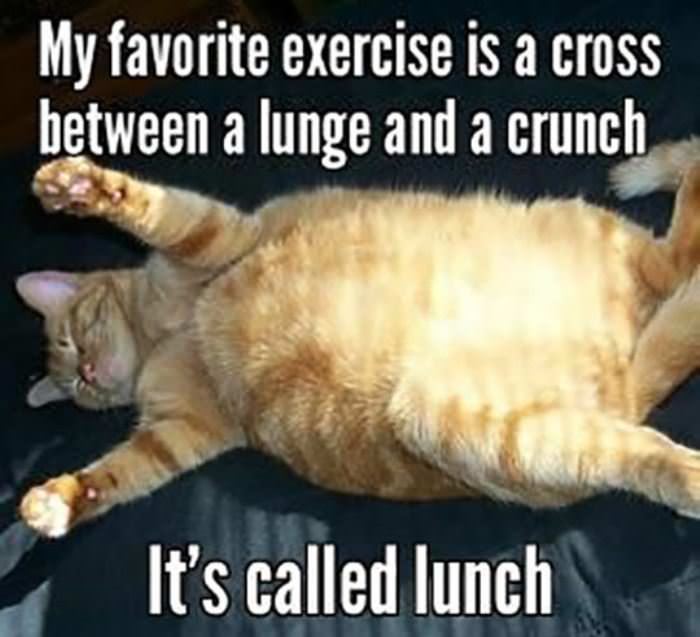 my favorite exercise funny picture