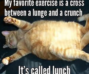 my favorite exercise funny picture