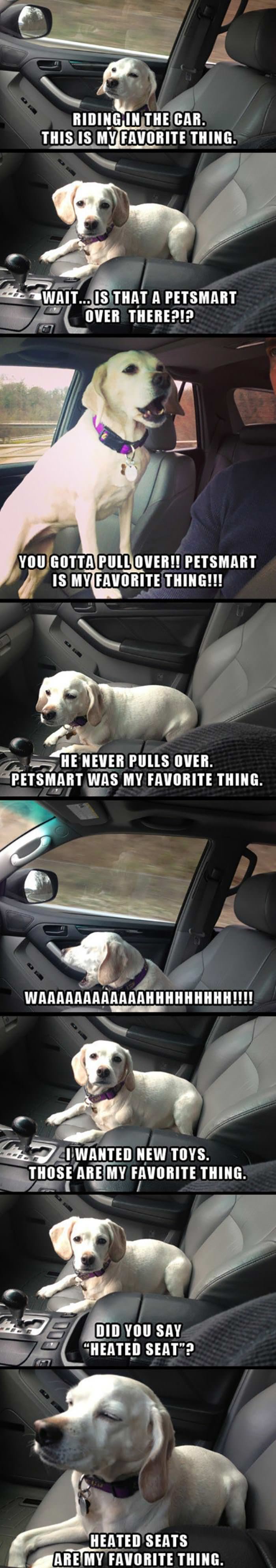 my favorite things funny picture