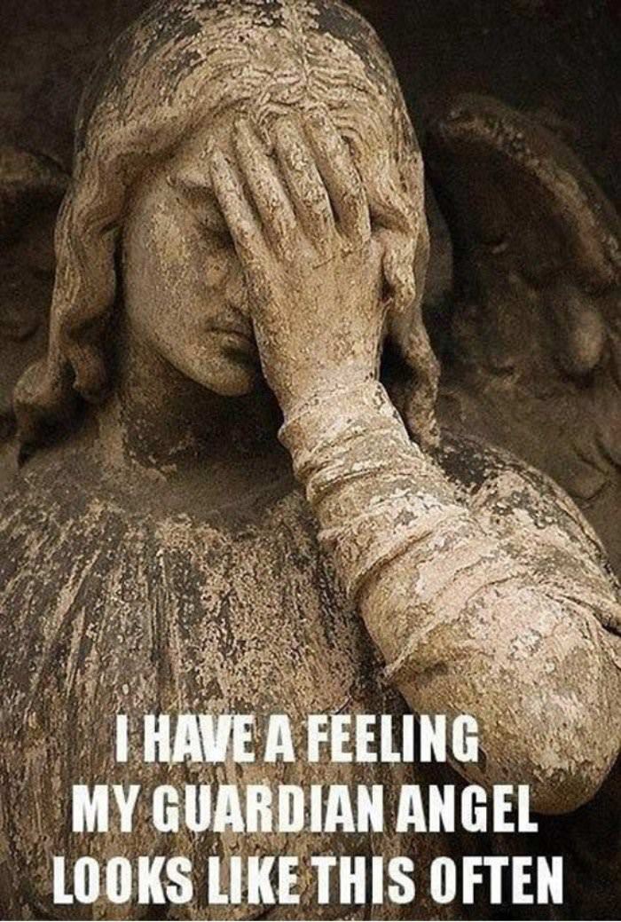 my guardian angel funny picture
