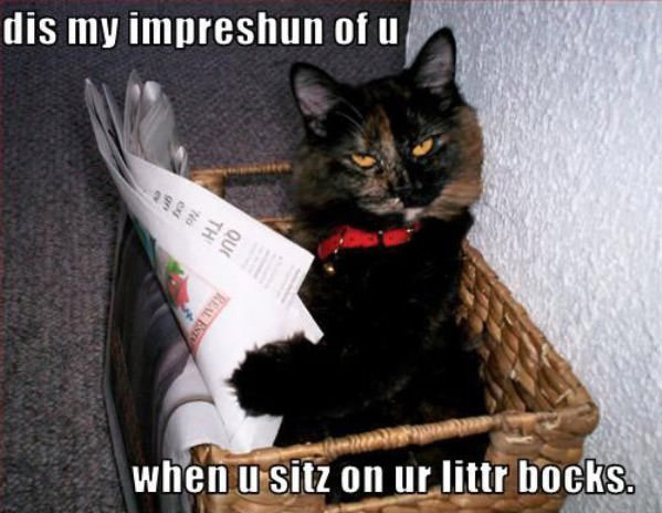 My Impreshun funny picture