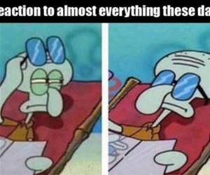my reaction to most things funny picture