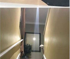 my scary dog funny picture