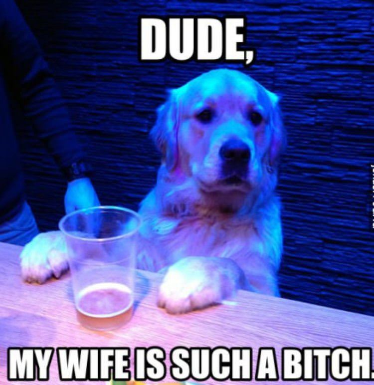 my wife funny picture