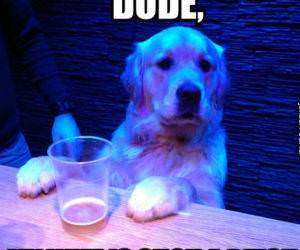 my wife funny picture