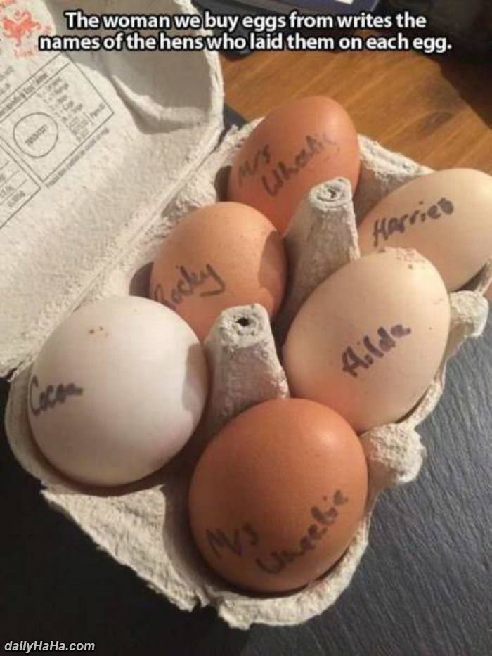 names on every egg funny picture
