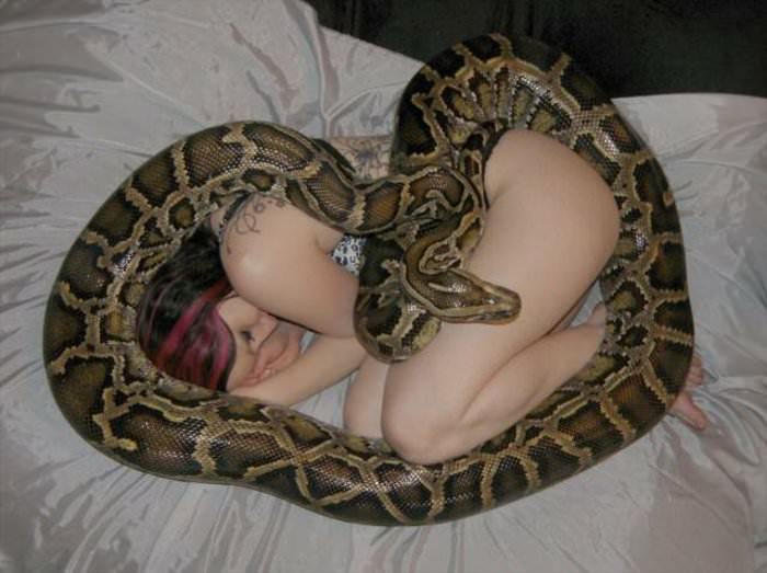 napping with my pet snake