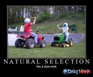 Natural Selection funny picture