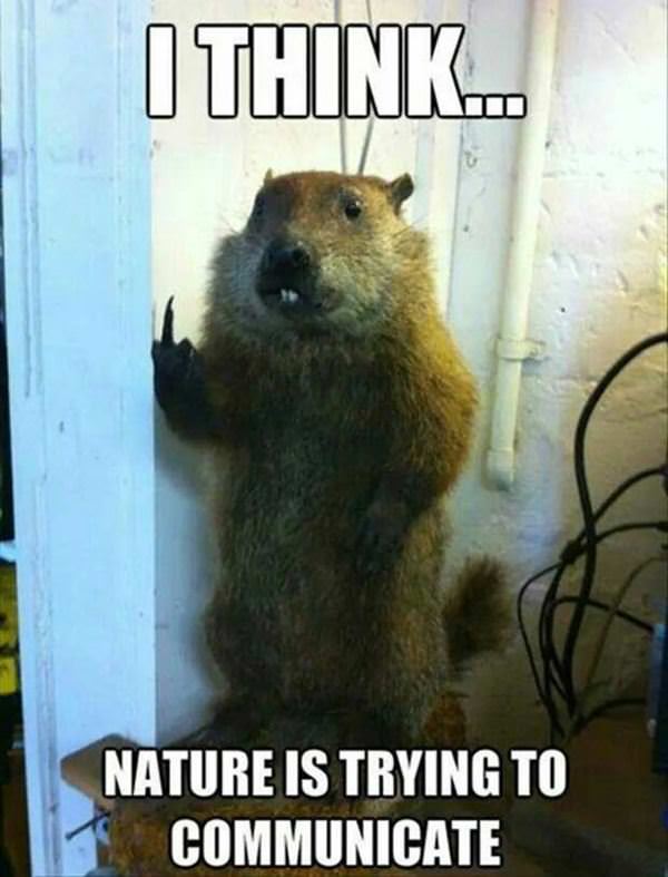 nature is trying funny picture