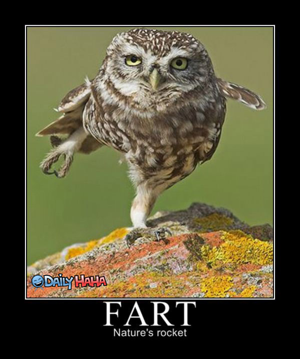 Natures Rocket funny picture