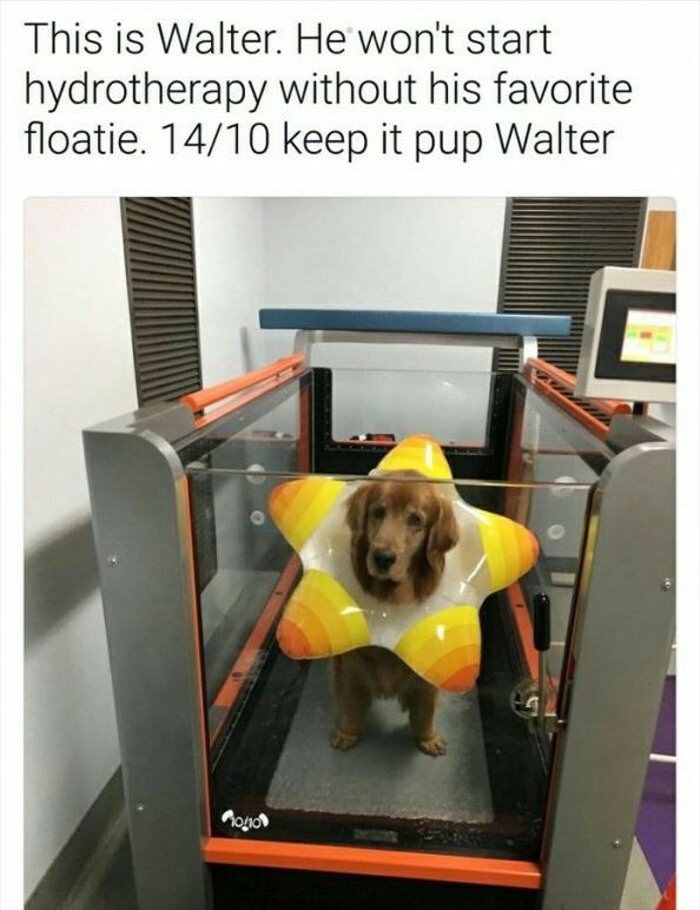 need my favorite floatie