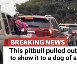 need to show you something