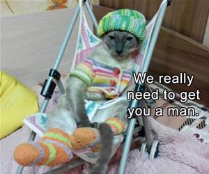 need to get you a man funny picture