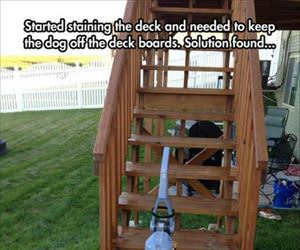 needed a way to keep the dog off