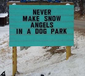 never make snow angels in a dog park ... 2