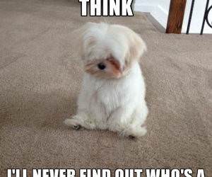 never find out funny picture