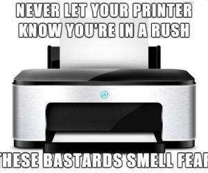 never let them know funny picture