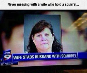 never mess with funny picture