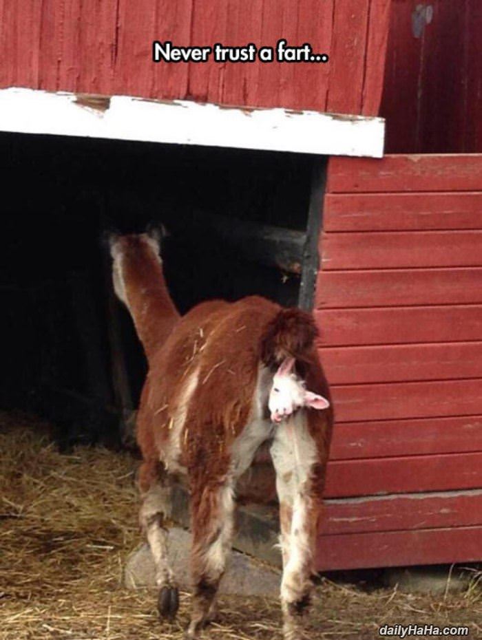 never trust a fart funny picture