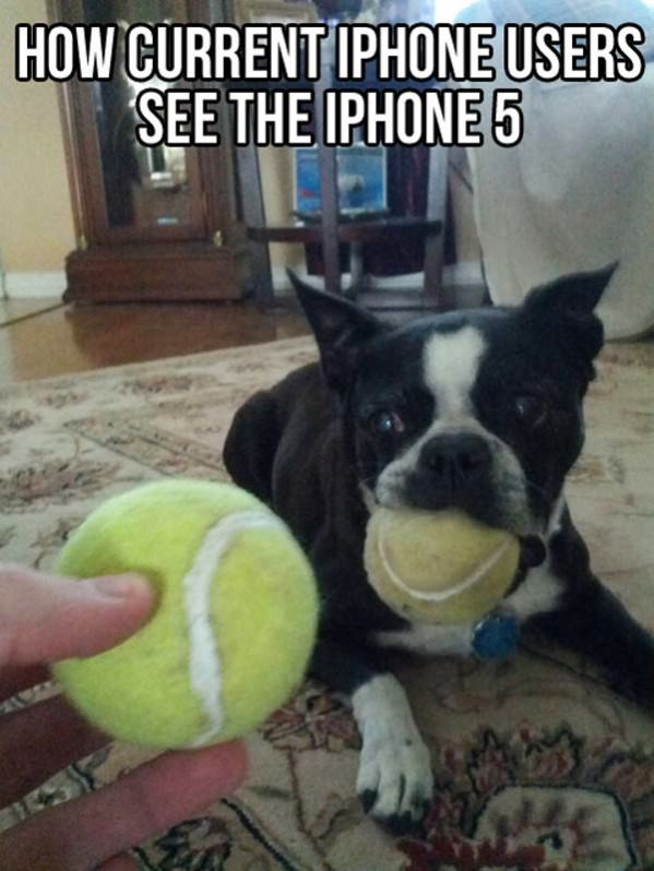 Iphone 5 funny picture