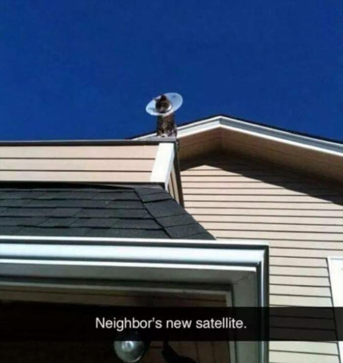 new satellite