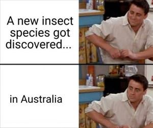 new species discovered