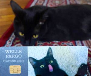 new debit card funny picture