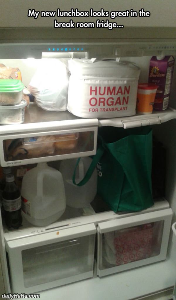 new lunchbox funny picture