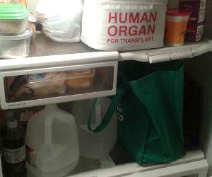 new lunchbox funny picture