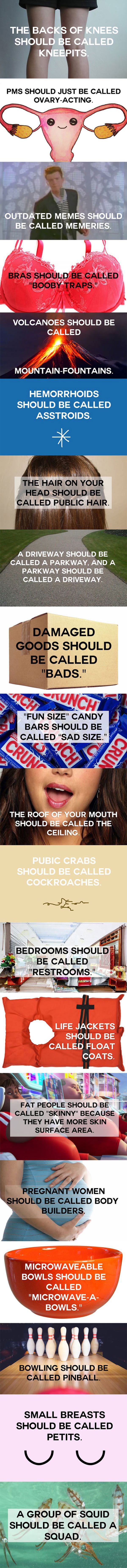 new words funny picture