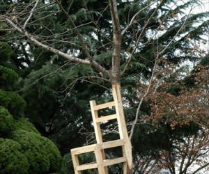 nice chair you got there