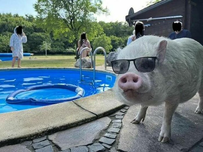 Nice Glasses funny picture