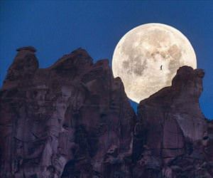 nice night for a walk