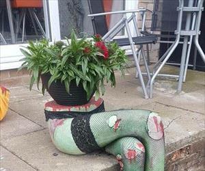 nice potted plant