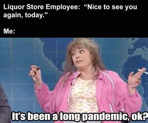 nice to see you again